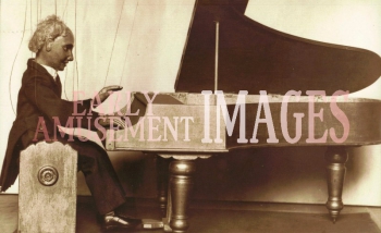 media-image-105-maestro-puppet-concert-pianist